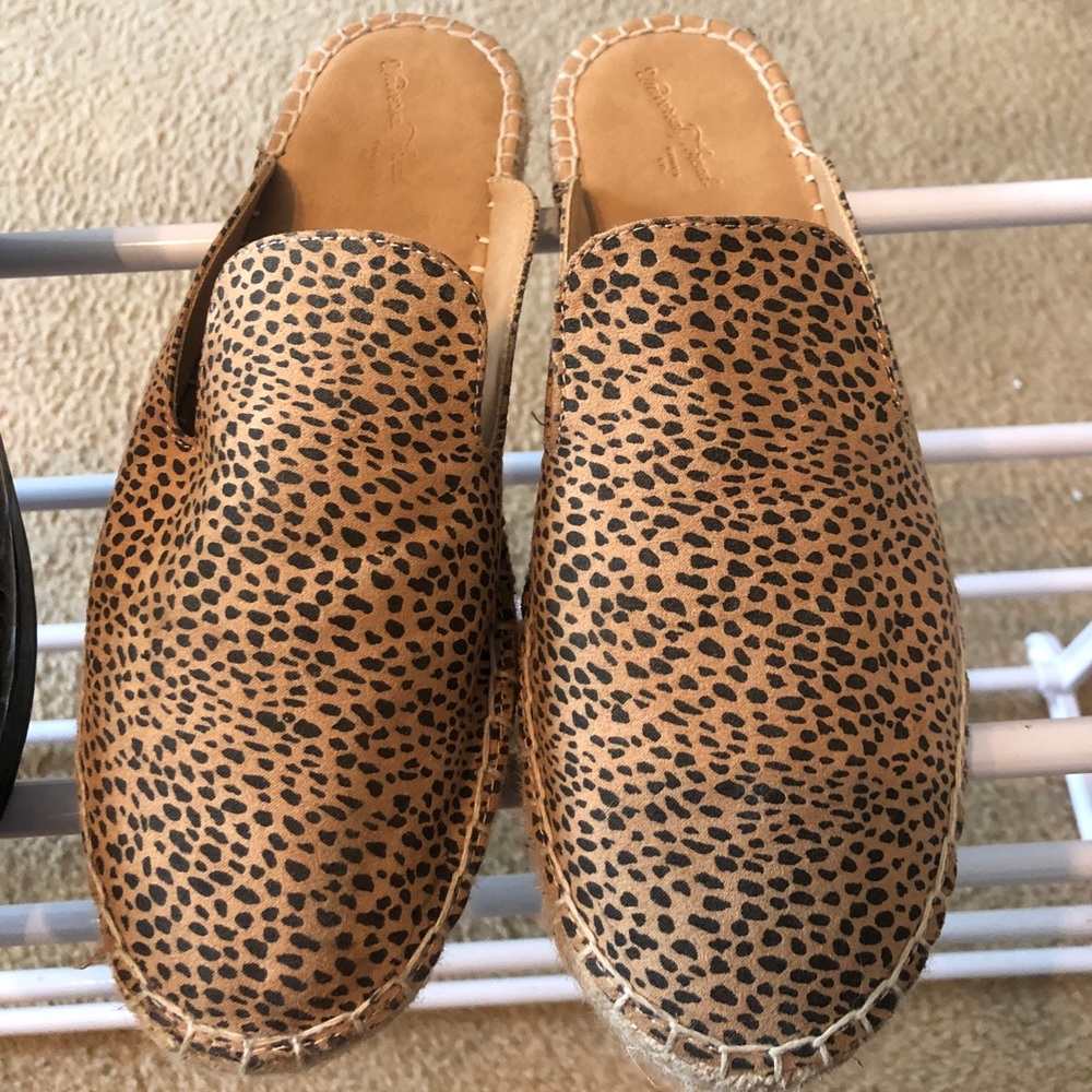 Cheetah slides